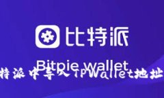 如何在比特派中导入TPWa