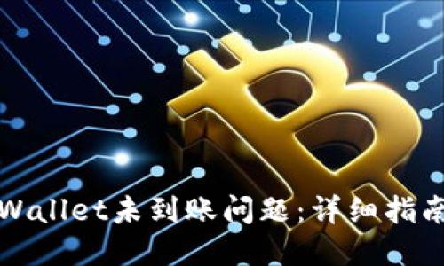 如何解决TPWallet未到账问题：详细指南与实用建议