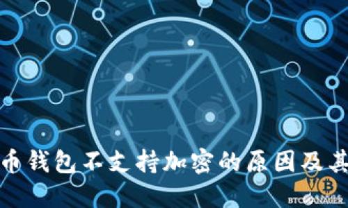 比特币钱包不支持加密的原因及其影响