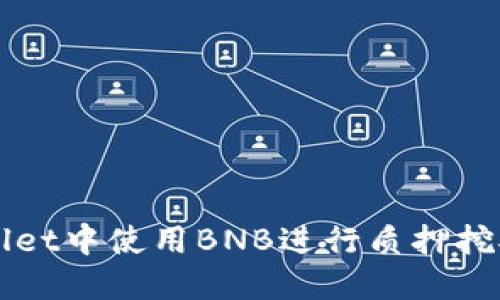 如何在TPWallet中使用BNB进行质押挖矿的详细指南