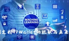 中国支持TPWallet的现状与未来展望