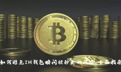 如何避免IM钱包瞬间被秒走的风险：全面指南