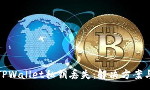 :
如何应对TPWallet私钥丢失：解决方案与预防策略