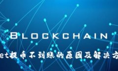 TPWallet提币不到账的原因及解决方案详解