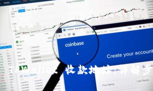 如何成功复制 TPWallet 收款地址：详解步骤与常见问题