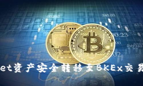 如何将TPWallet资产安全转移至BKEx交易所的全面指南