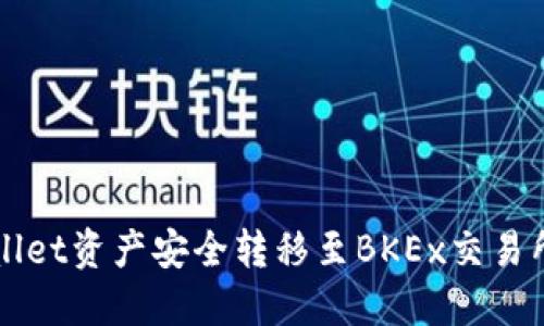 如何将TPWallet资产安全转移至BKEx交易所的全面指南