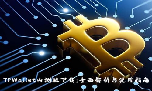 TPWallet内测版下载：全面解析与使用指南