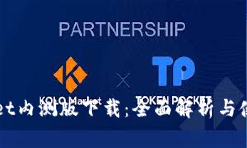 TPWallet内测版下载：全面解析与使用指南